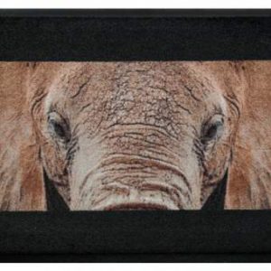 Premium rohožka- zvieratá – slon