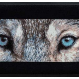 Premium rohožka- zvieratá – vlk