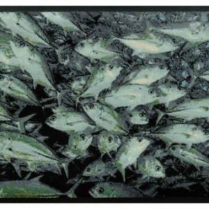 Premium rohožka- zvieratá  – ryby