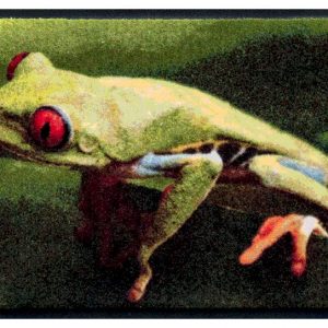 Premium rohožka- zvieratá- žaba