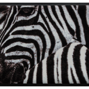 Premium rohožka- zvieratá – zebra