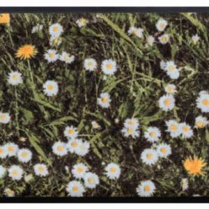 Kvety a listy premium rohožka – margarétka