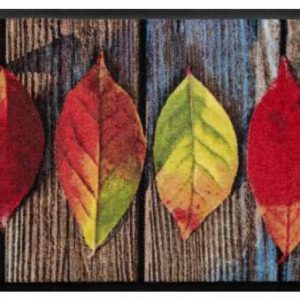 Ročné obdobia premium rohožka- farebné listôčky