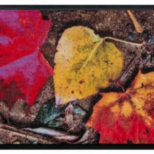 Ročné obdobia premium rohožka  – jesenné listy