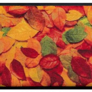 Ročné obdobia premium rohožka- farebné listy