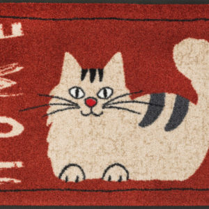Home- rohožka s mačičkou 50×75 cm