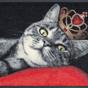 Mačací kráľ- rohožka 50×75 cm
