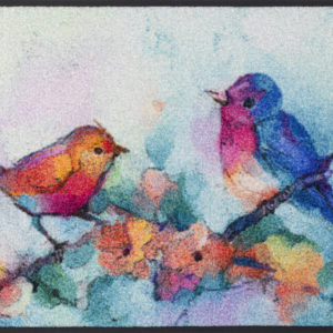 Vtáčiky- farebná rohožka 50×75 cm